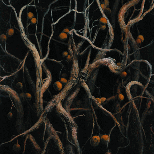 Augrimmer : Pantaleimon Speaks - Lynx